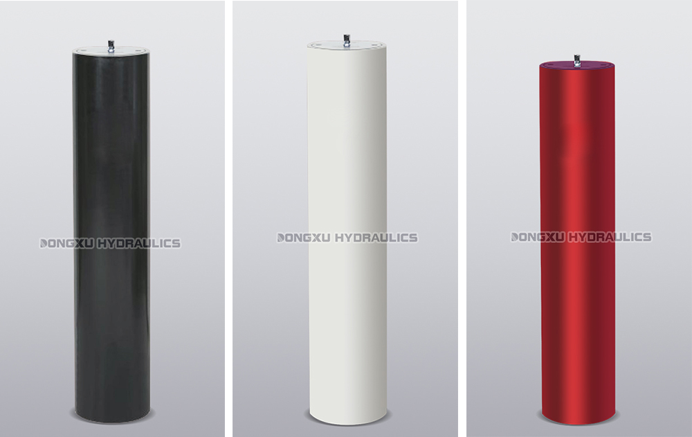 1774841523989390.jpg C.jpg